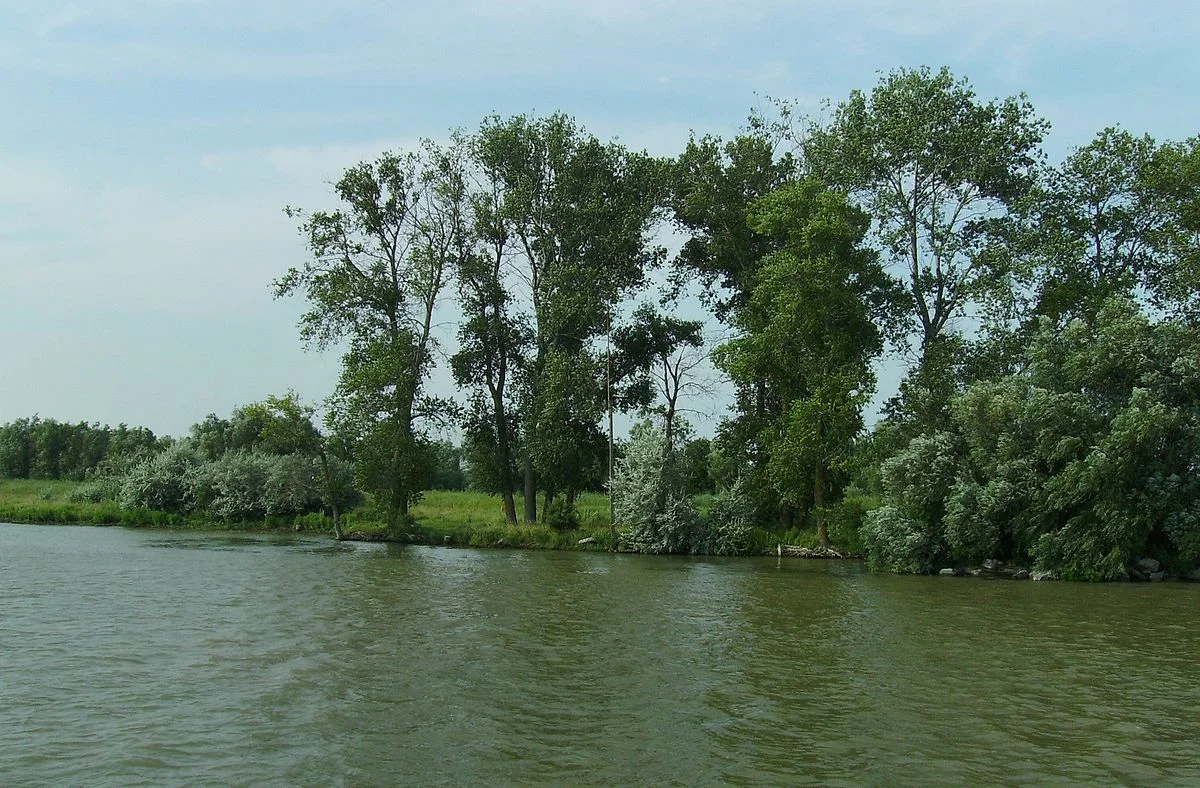Rezervația Naturală Roșca – Buhaiova